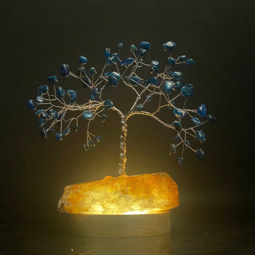 Blue Apatite on Golden Healer Mojo Tree