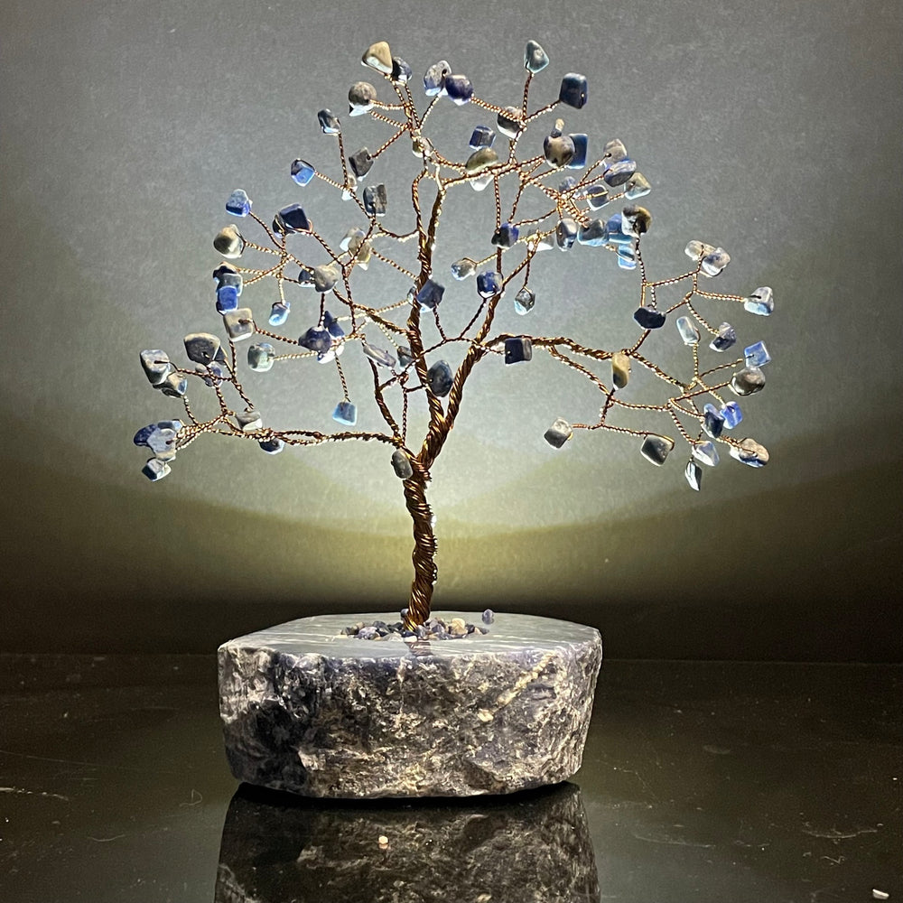 Lapis Lazuli on Sodalite Mojo Tree