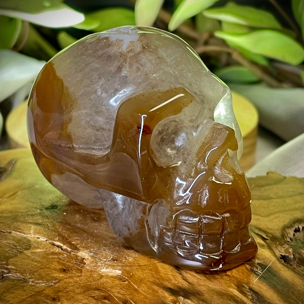 Agate Skull