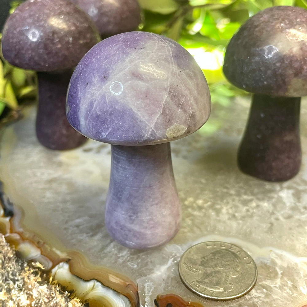 Lepidolite Mushroom