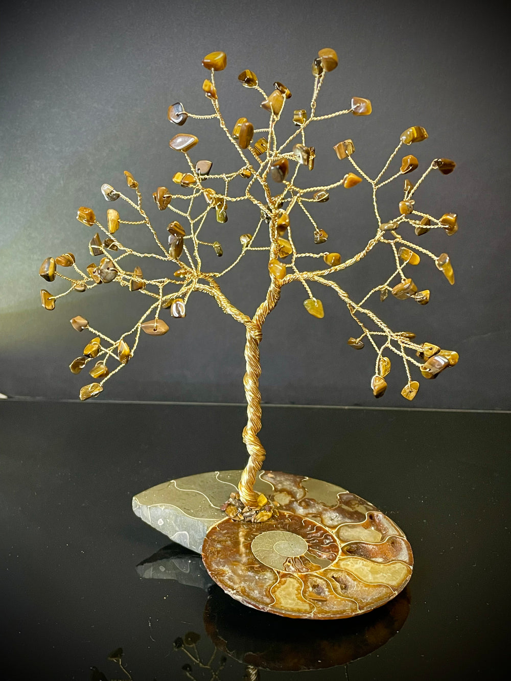 Tiger’s Eye on Ammonite Mojo Tree