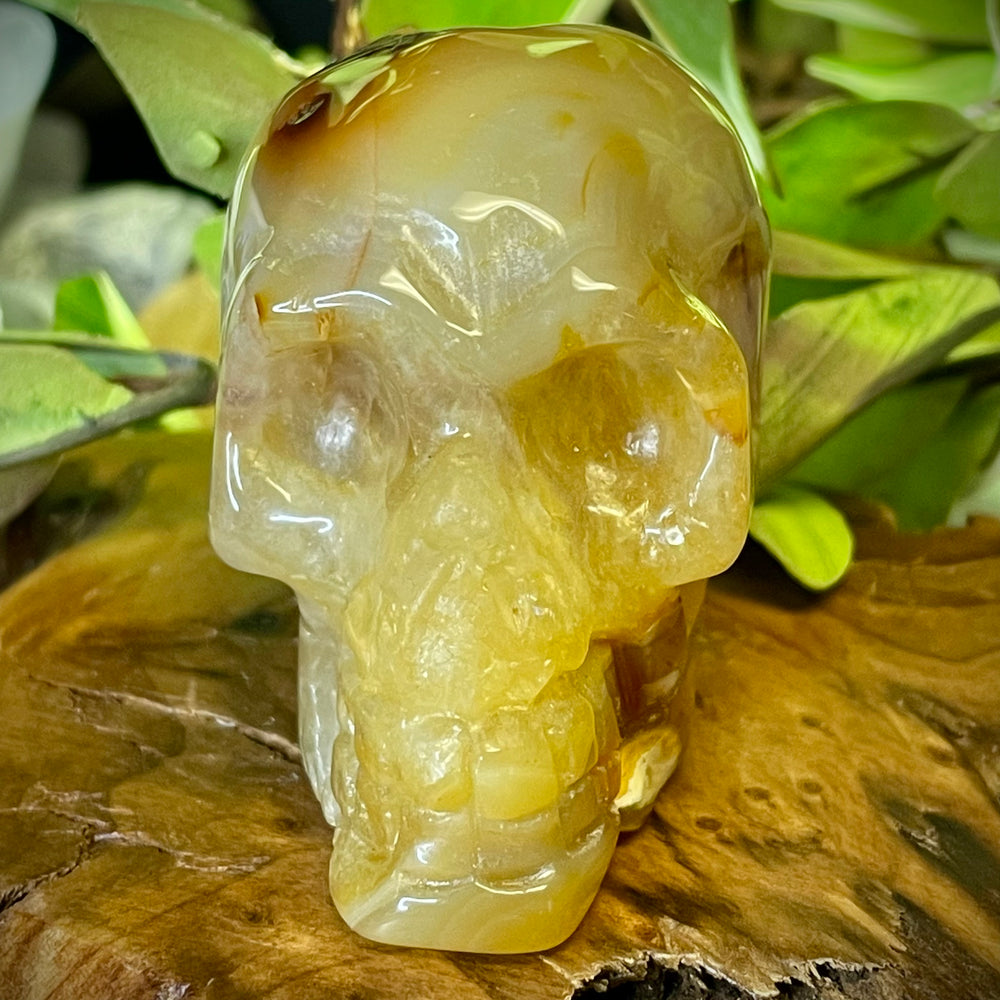 Agate Skull