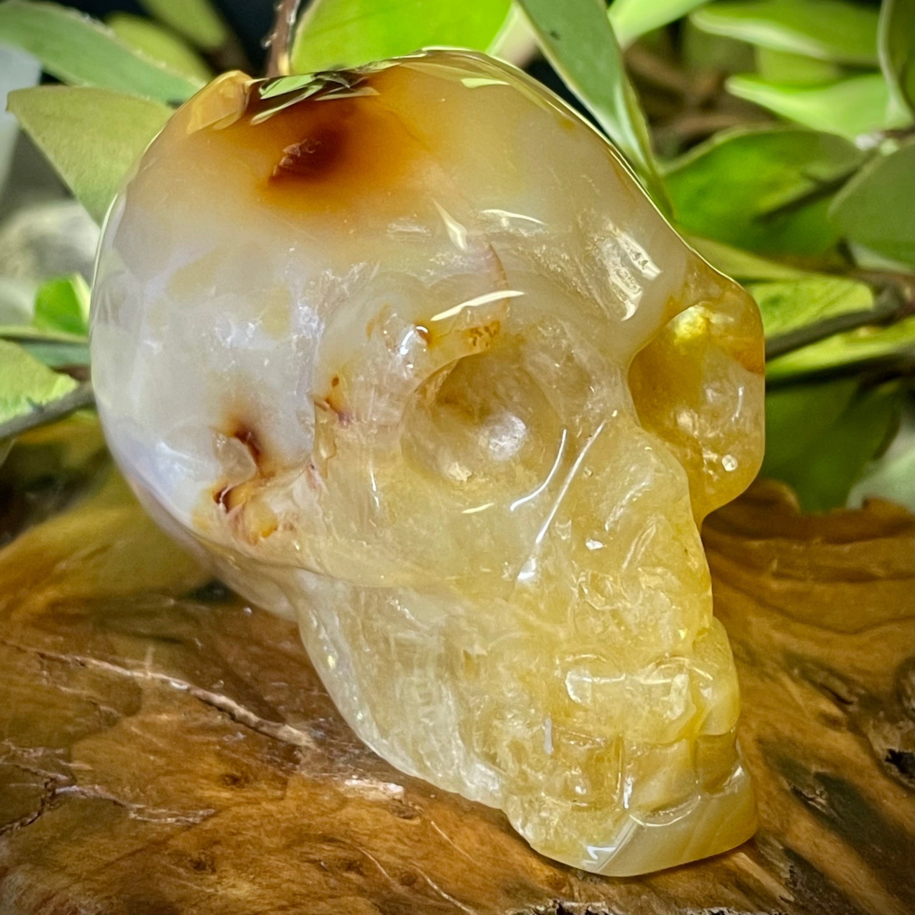 Agate Skull