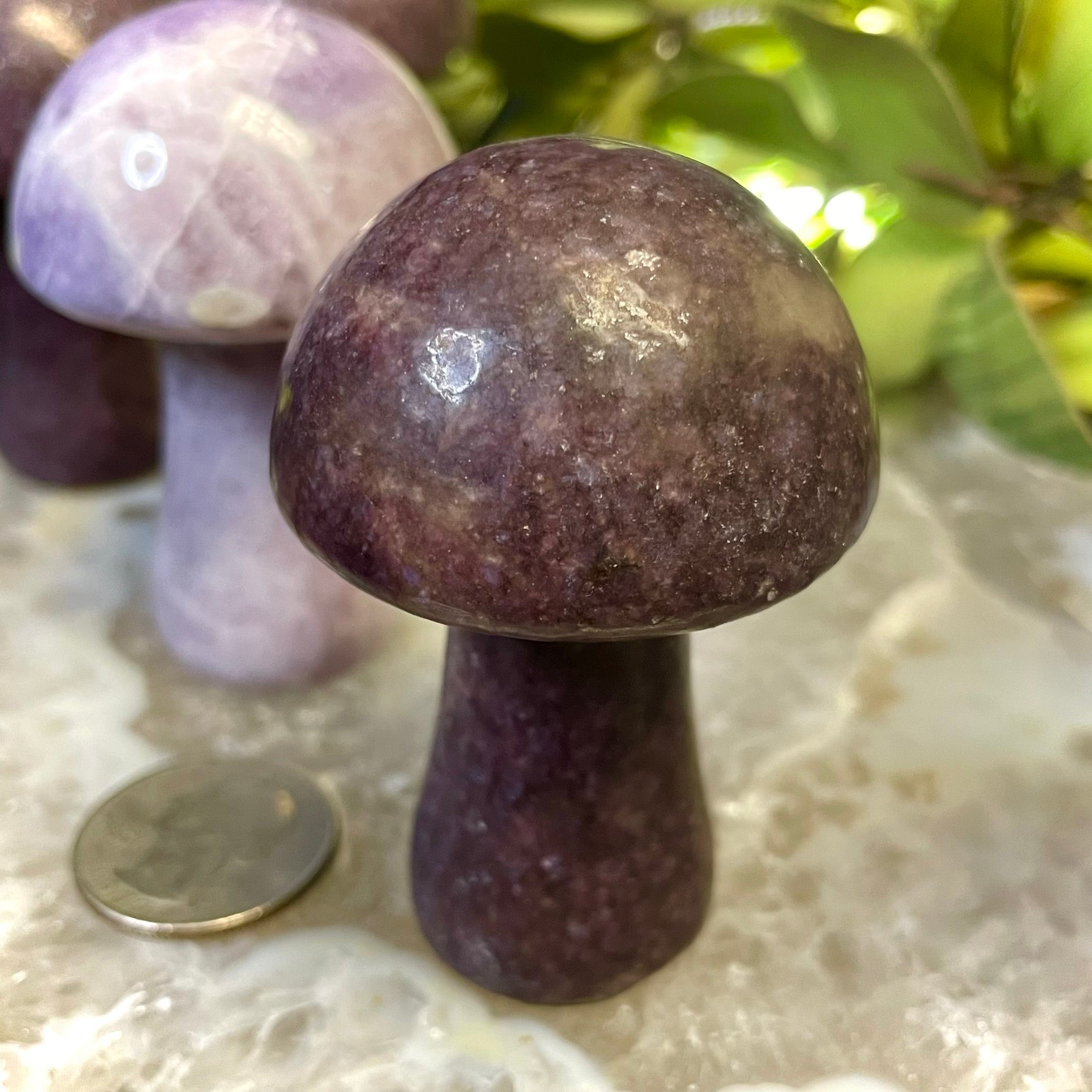 Lepidolite Mushroom