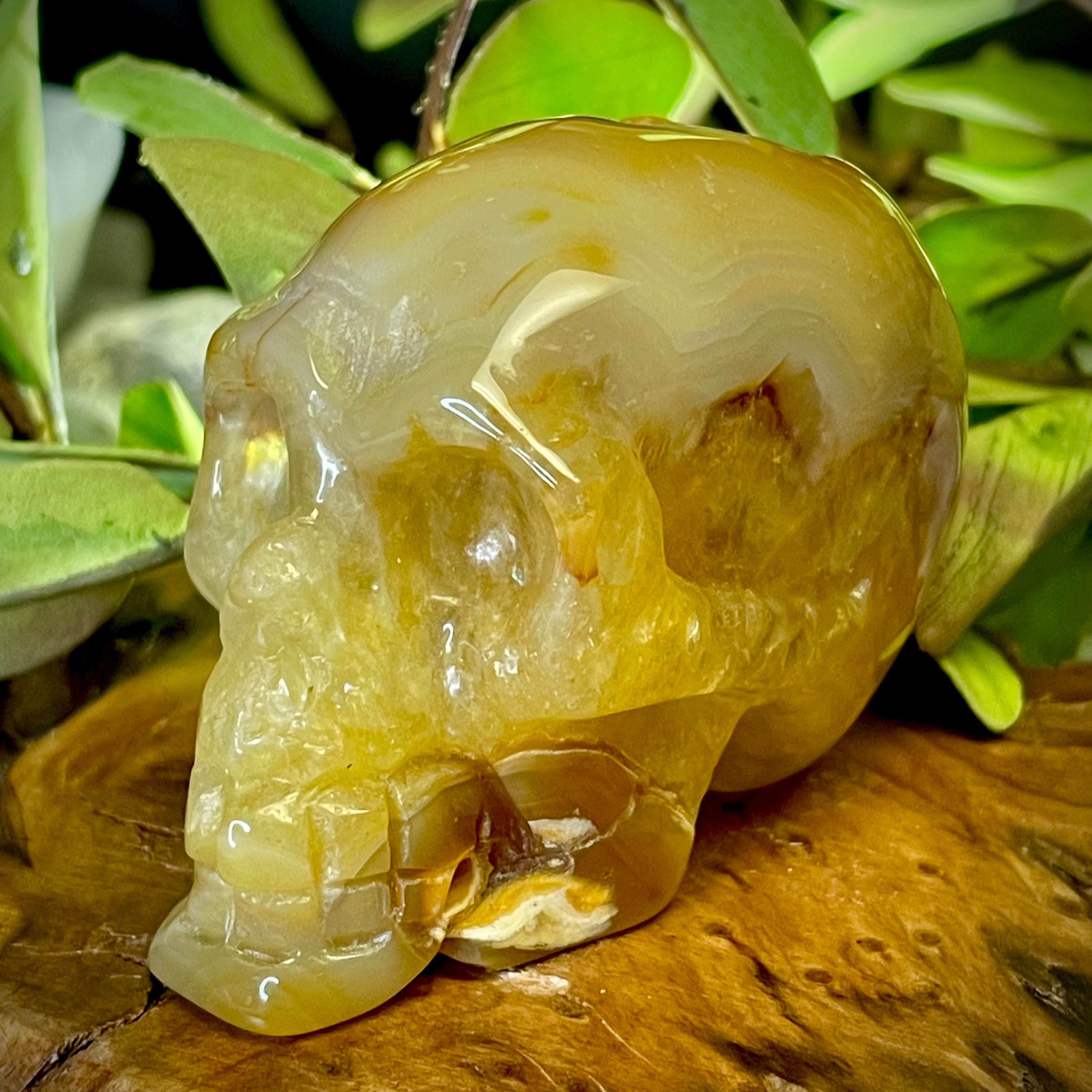 Agate Skull