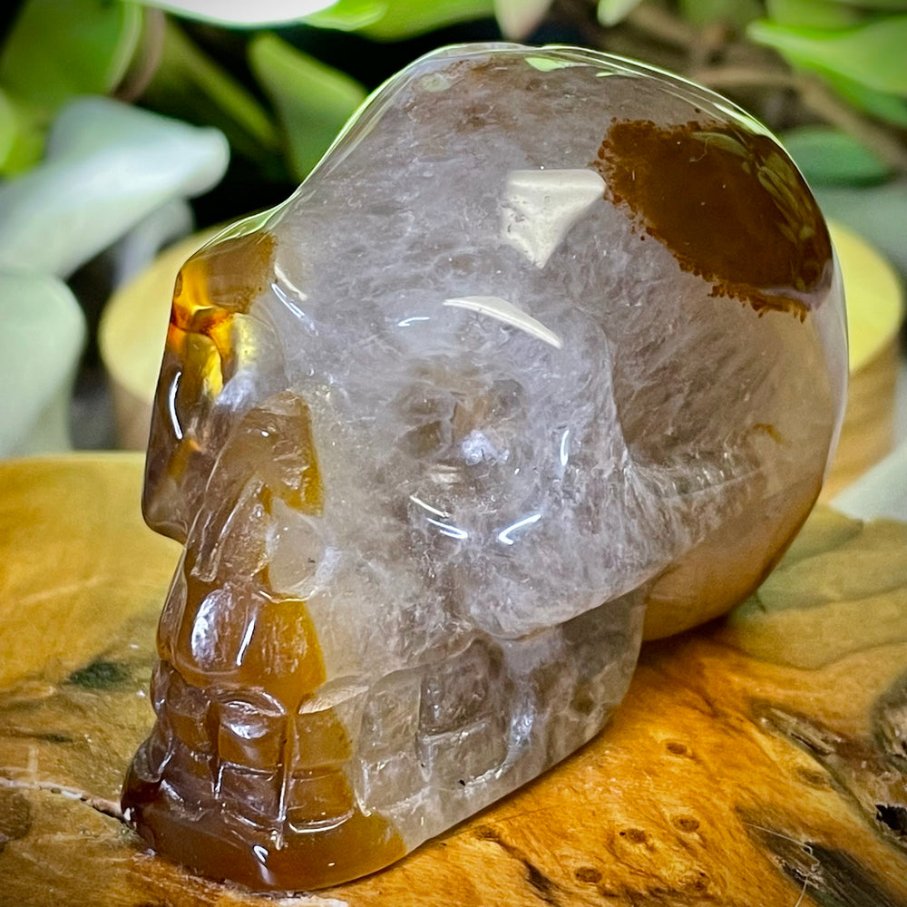 Agate Skull